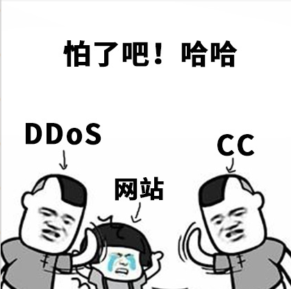 什么是cc，网站如何应对cc攻击？